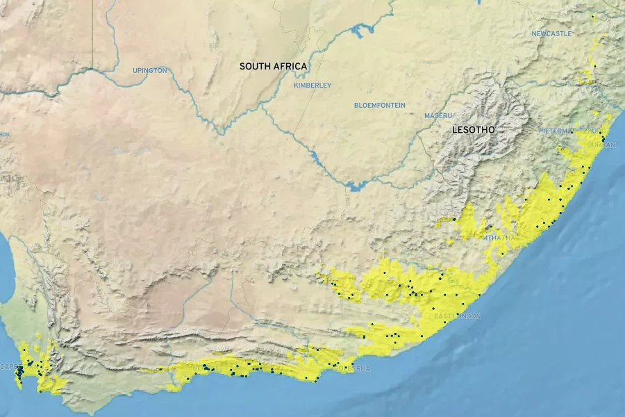 Agapanthus praecox Native Range