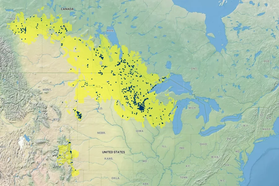 Agastache foeniculum Native Range