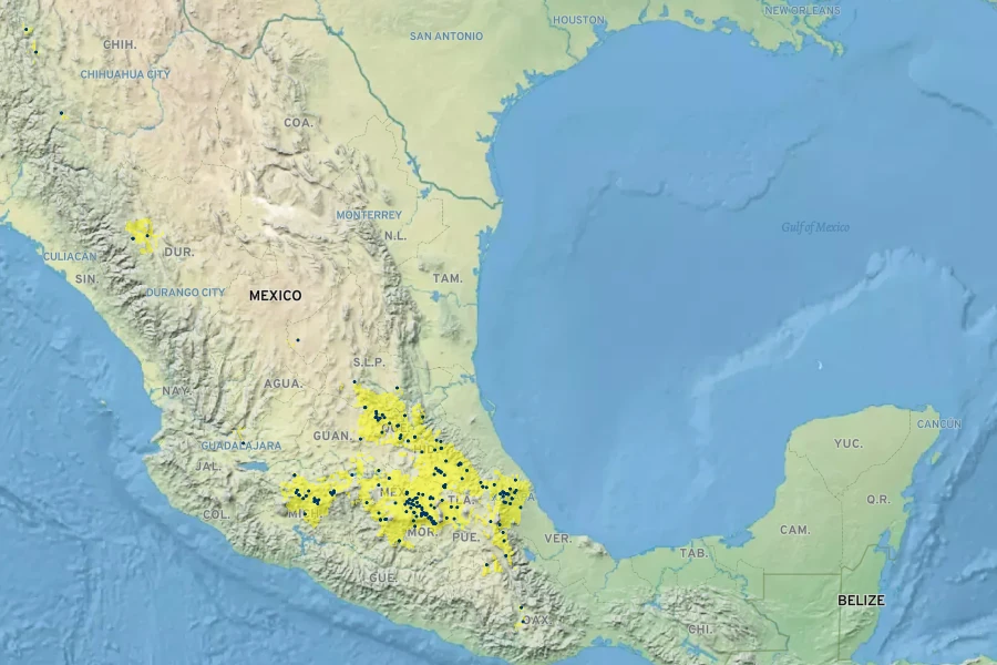 Agastache mexicana Native Range