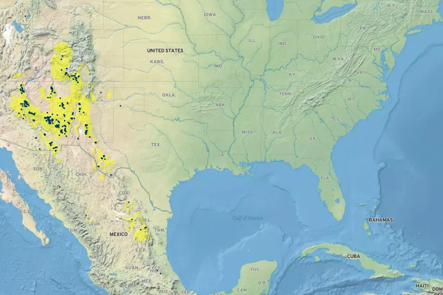 Agastache pallidiflora Native Range