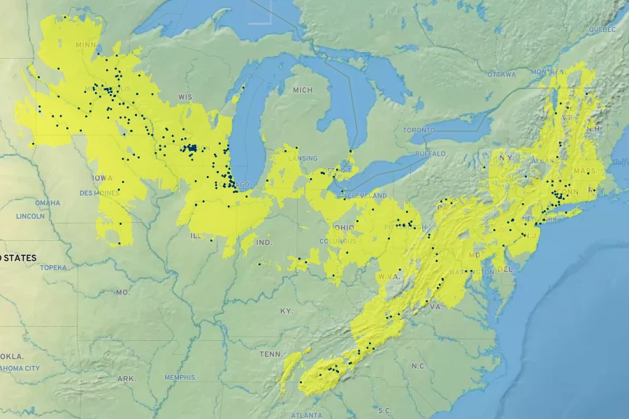 Agastache scrophulariifolia Native Range
