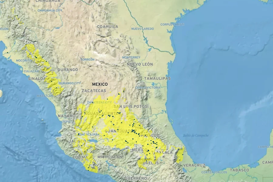 Agave filifera Native Range