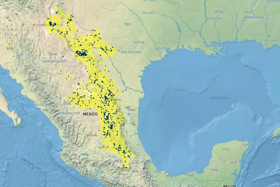 Agave lechuguilla Native Range