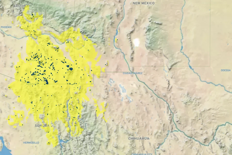 Agave palmeri Native Range