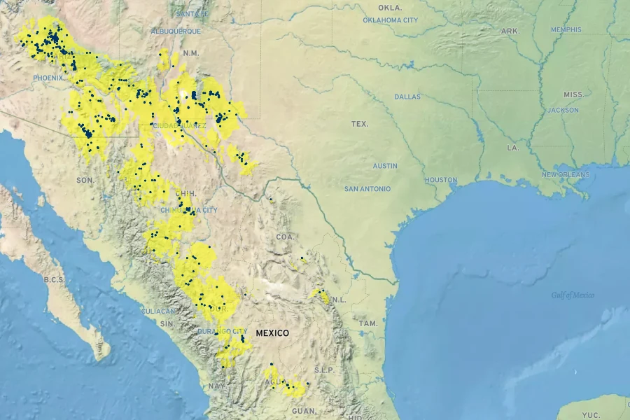 Agave parryi Native Range