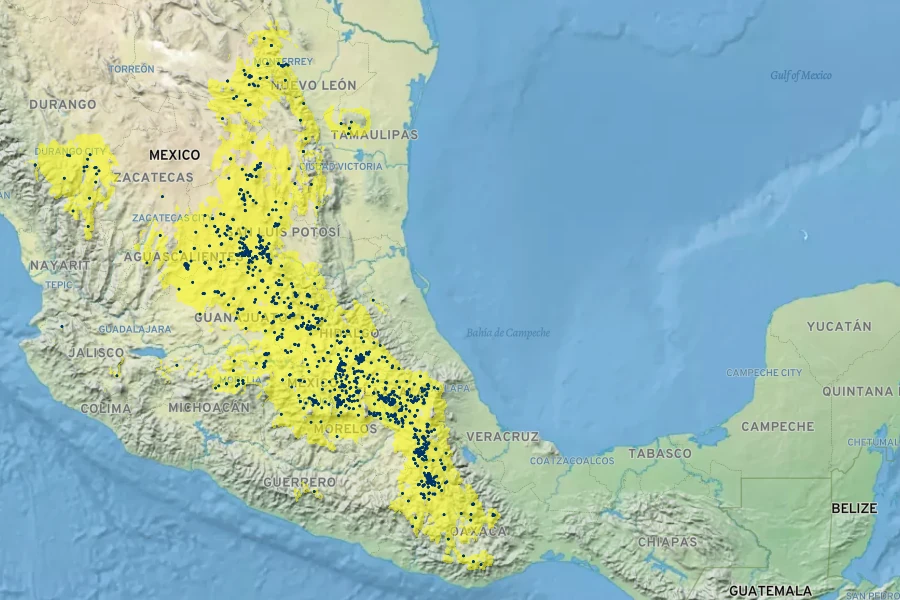 Agave salmiana Native Range