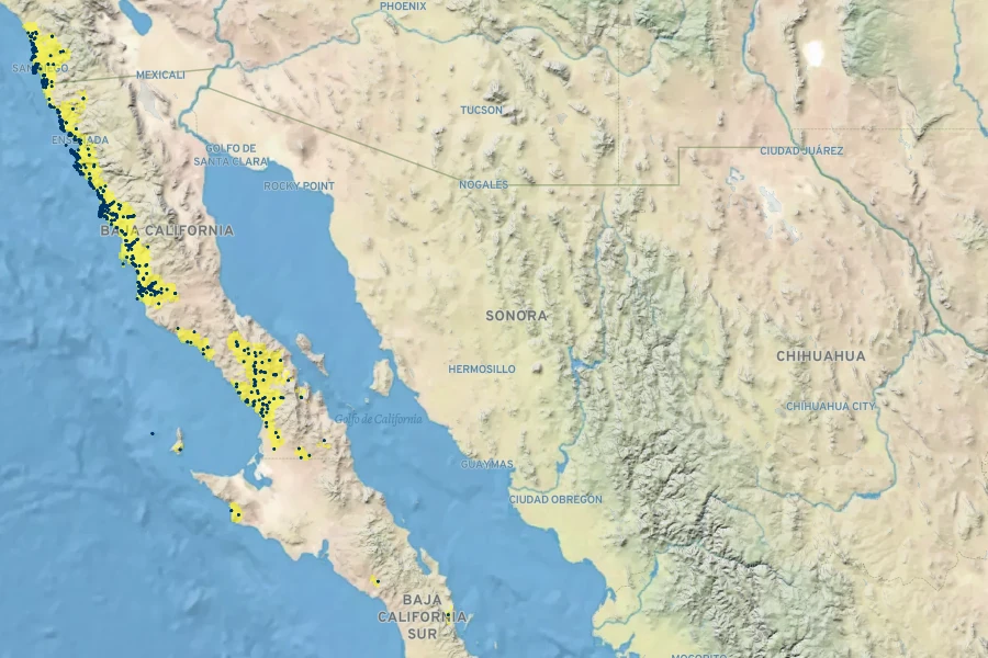Agave shawii Native Range