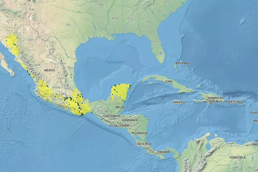 Agave vivipara Native Range
