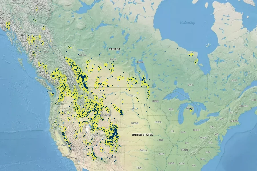 Agoseris glauca Native Range
