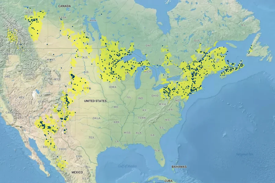 Agrimonia striata Native Range