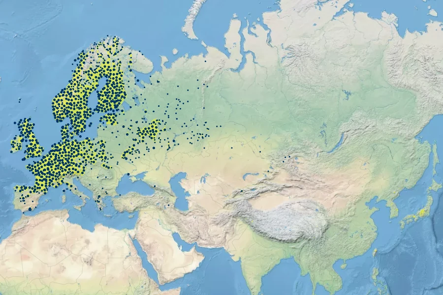Agrostis canina Native Range