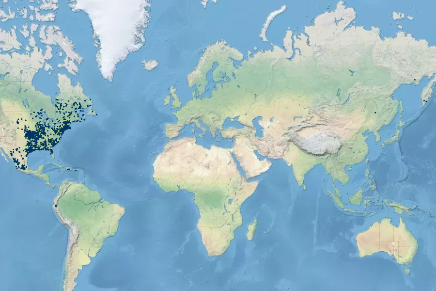 Agrostis hyemalis Native Range