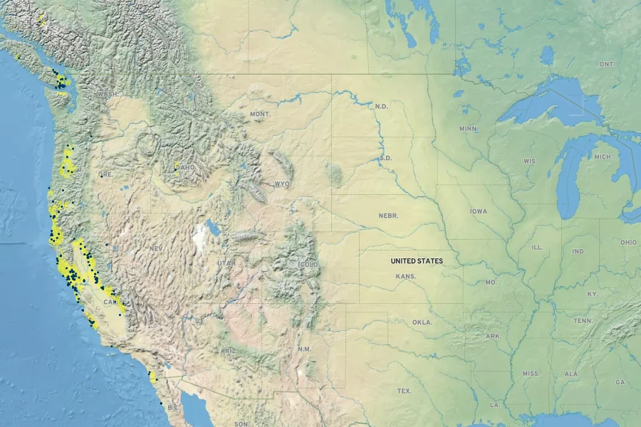 Agrostis microphylla Native Range