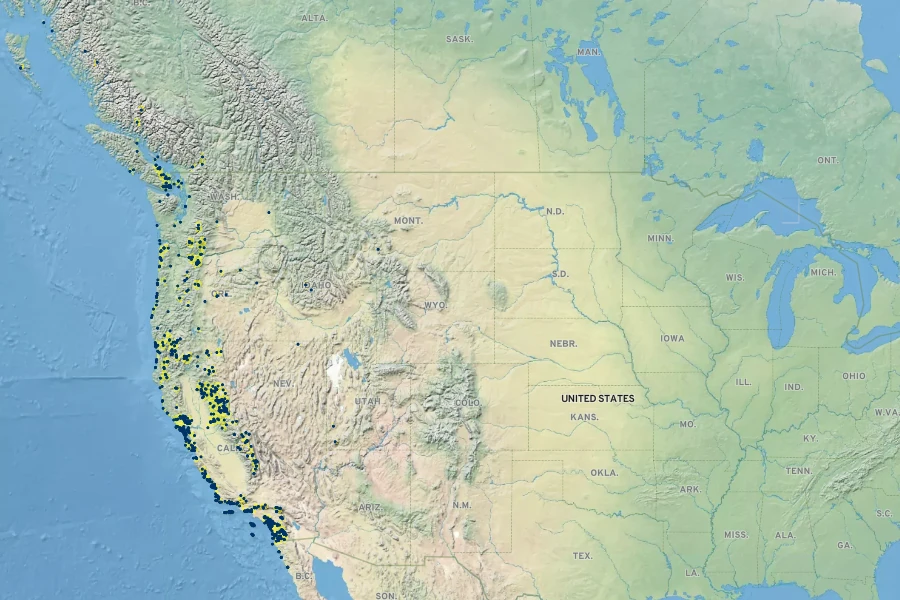 Agrostis pallens Native Range