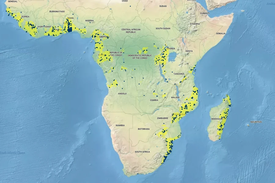 Albizia adianthifolia Native Range
