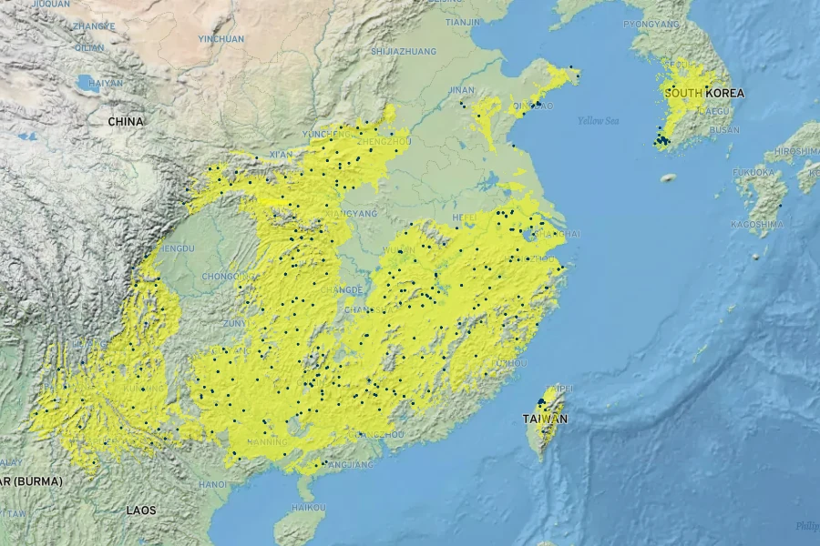 Albizia kalkora Native Range