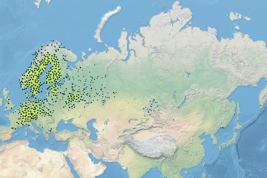 Alchemilla monticola Native Range