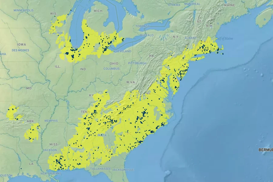 Aletris farinosa Native Range