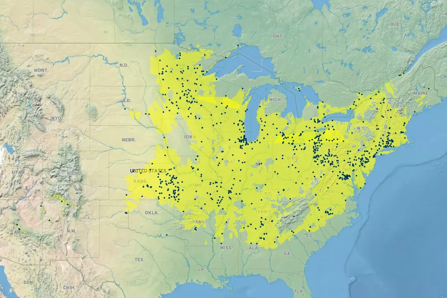 Alisma subcordatum Native Range