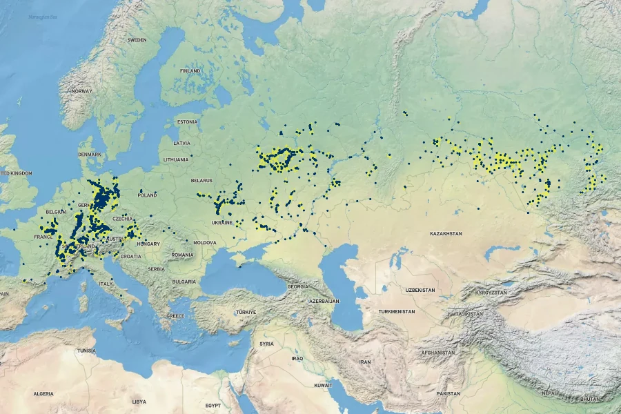 Allium angulosum Native Range