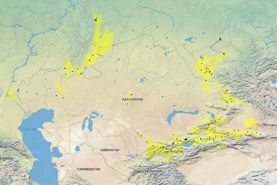 Allium caeruleum Native Range