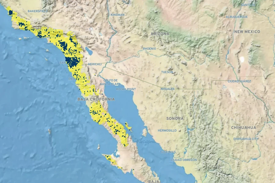 Allium haematochiton Native Range