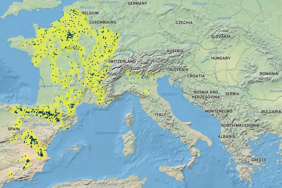 Allium moly Native Range