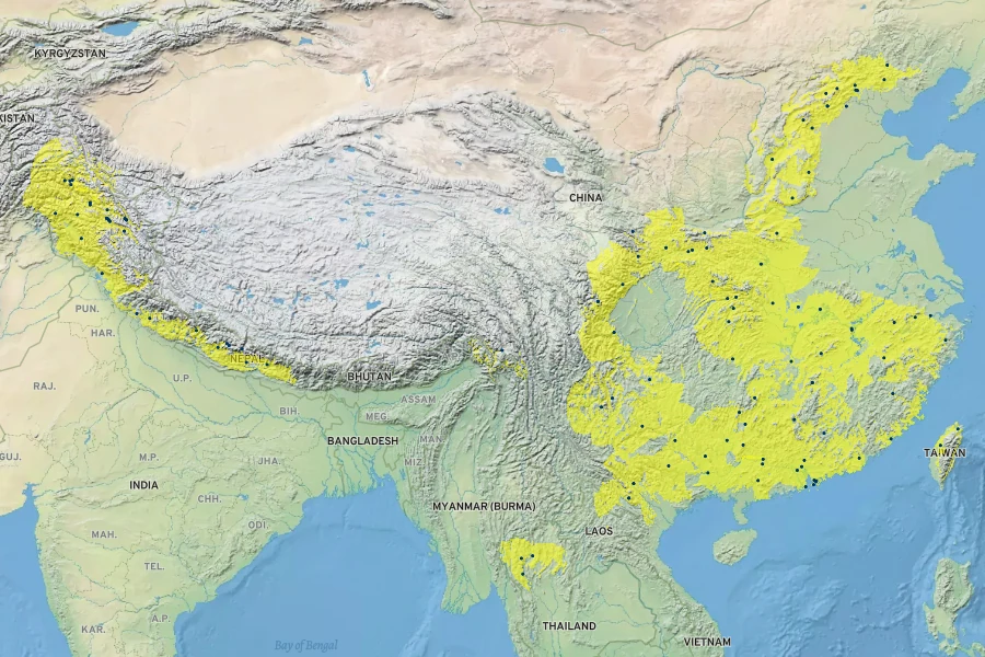 Allium tuberosum Native Range