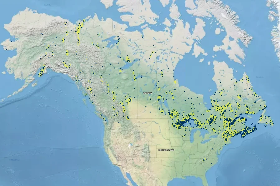 Alnus alnobetula subsp. crispa Native Range