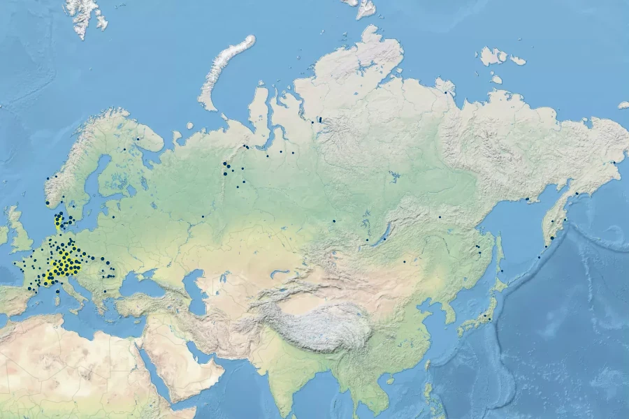 Alnus alnobetula Native Range