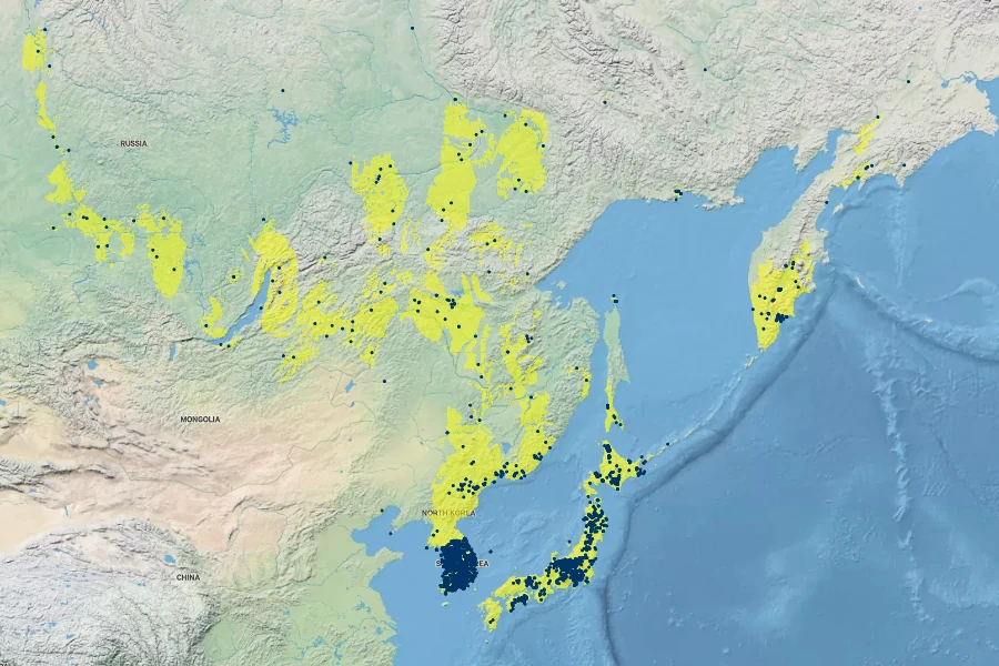 Alnus hirsuta Native Range