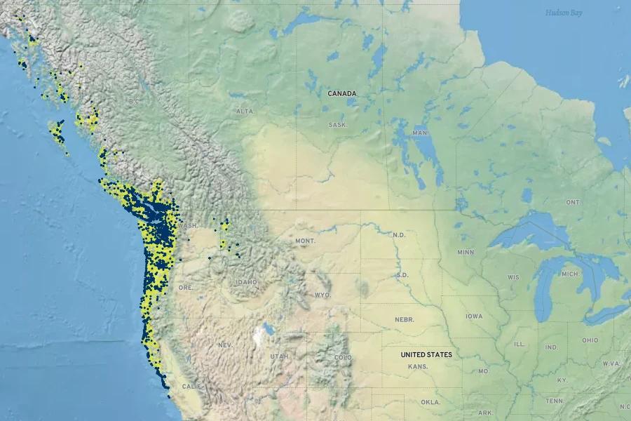 Alnus rubra Native Range