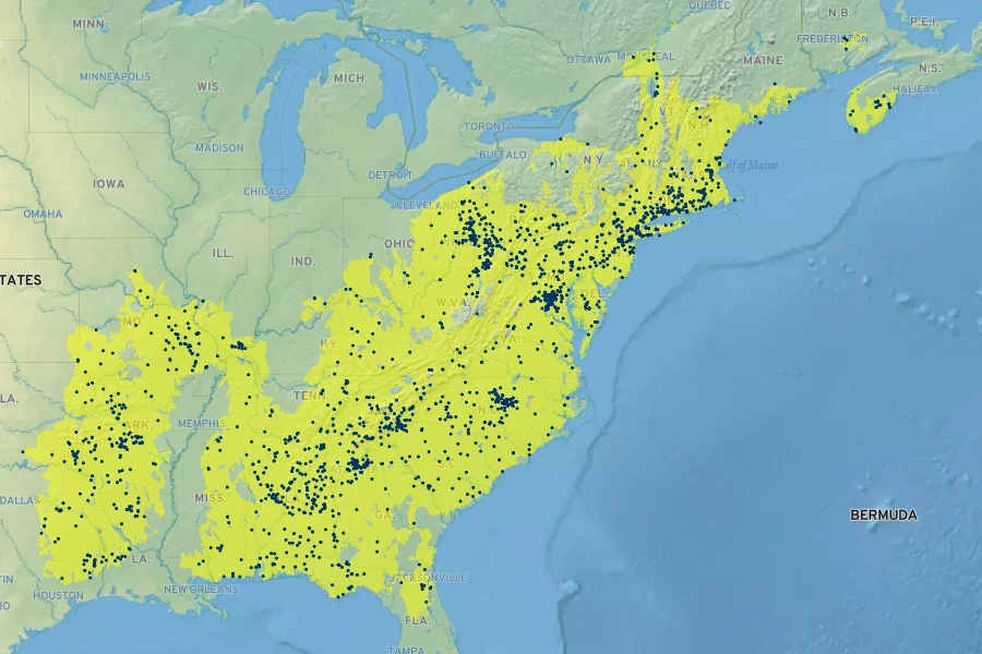 Alnus serrulata Native Range