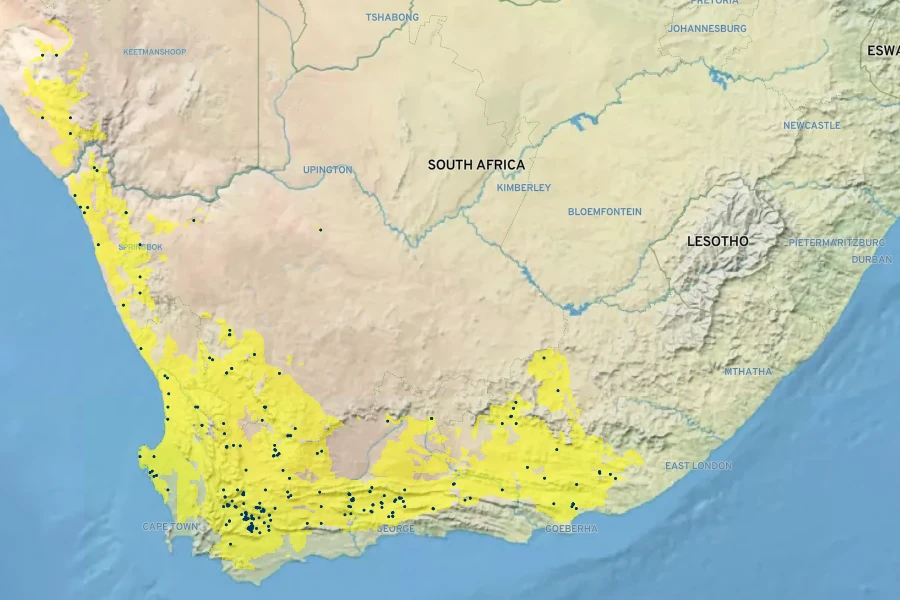 Aloe microstigma Native Range