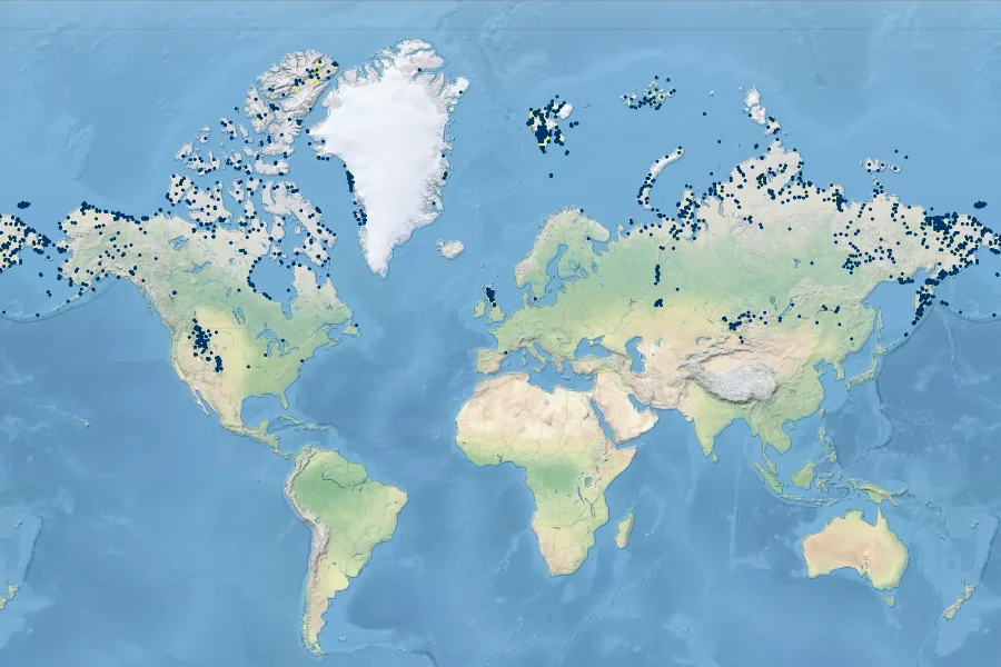Alopecurus magellanicus Native Range