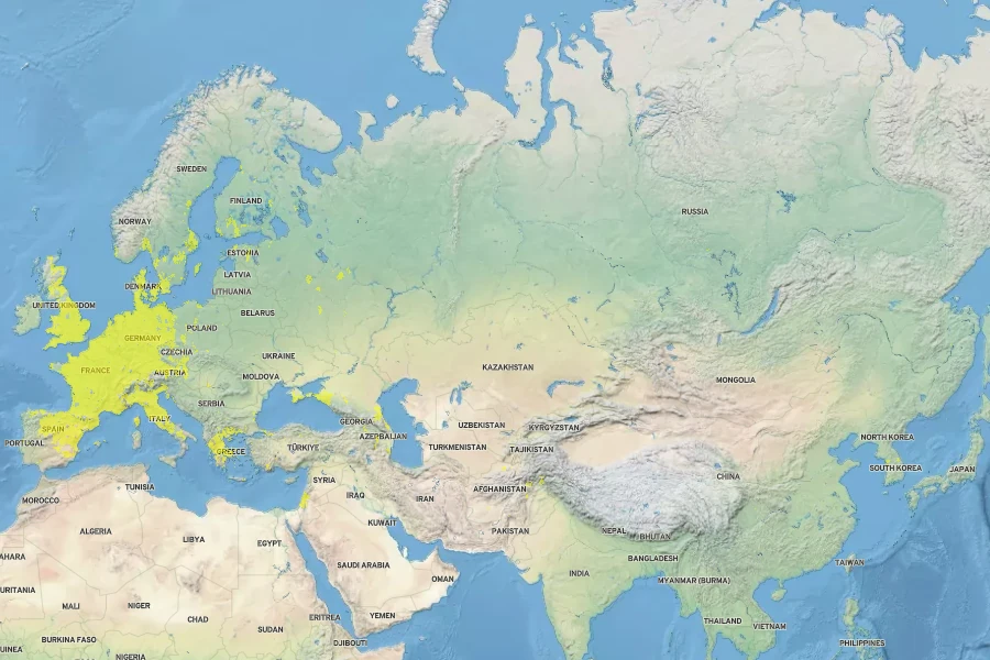 Alopecurus myosuroides Native Range