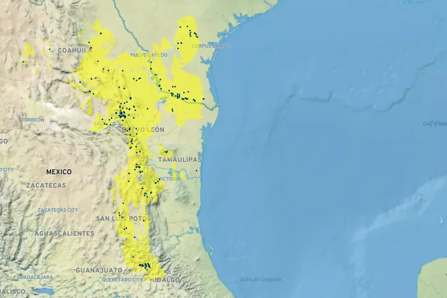 Aloysia macrostachya Native Range