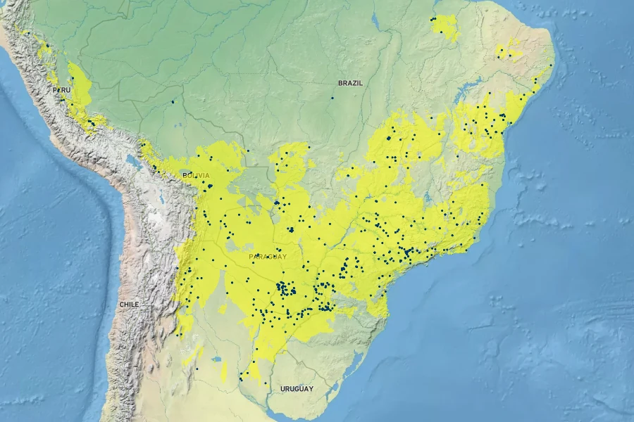 Aloysia virgata Native Range