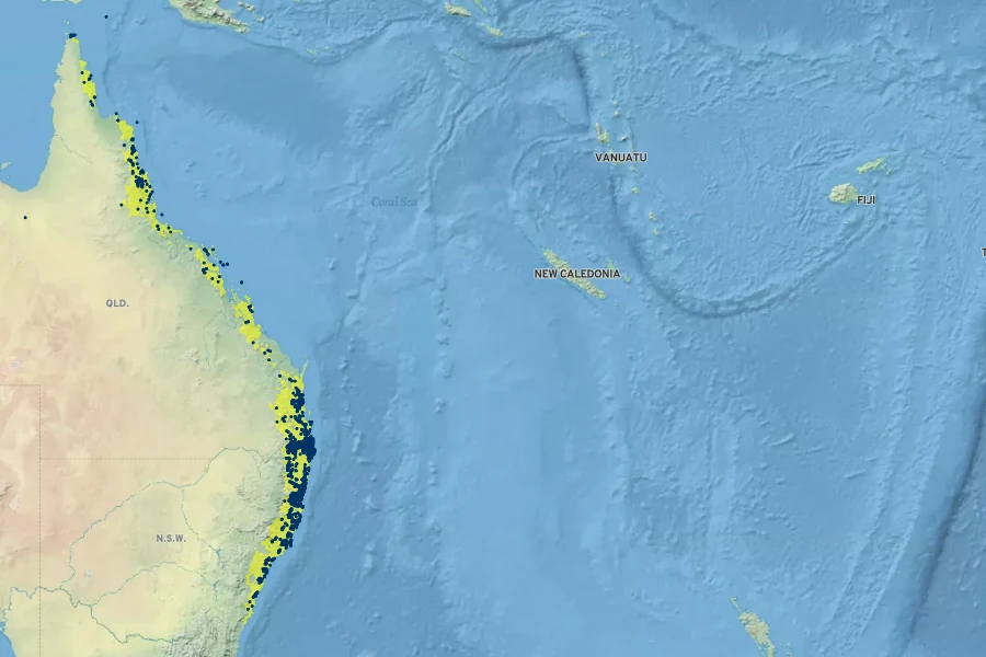 Alpinia caerulea Native Range
