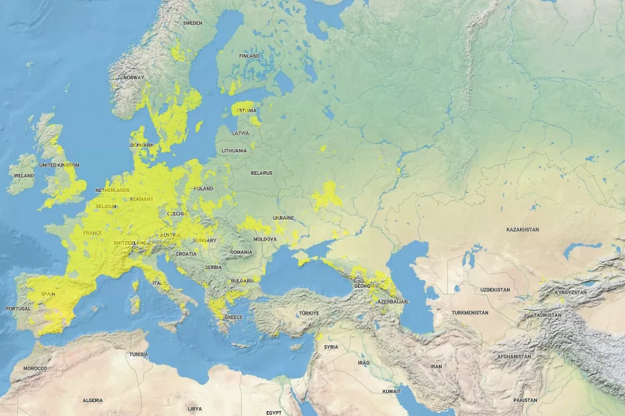 Alyssum alyssoides Native Range