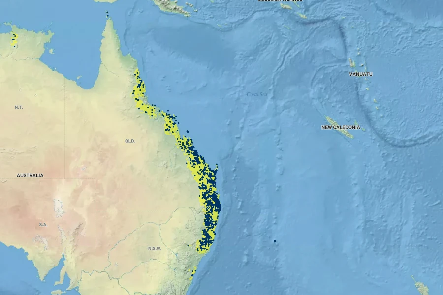 Alyxia ruscifolia Native Range