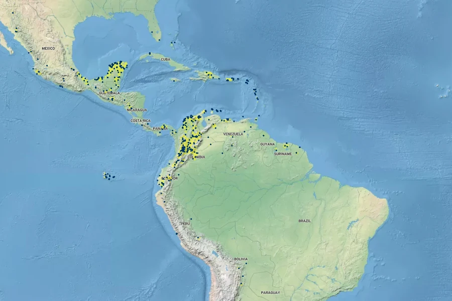 Amaranthus dubius Native Range