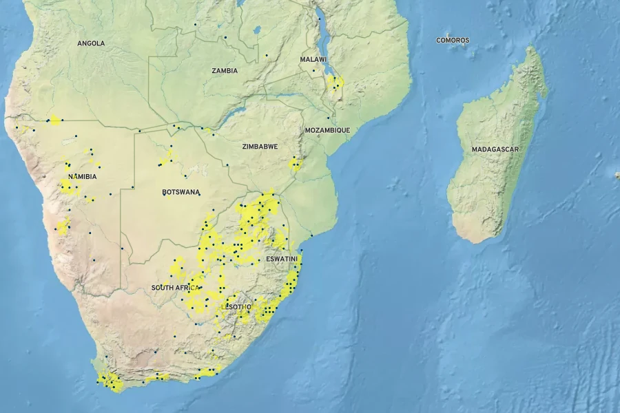 Amaranthus thunbergii Native Range