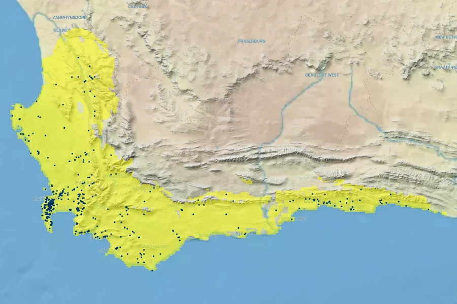 Amaryllis belladonna Native Range