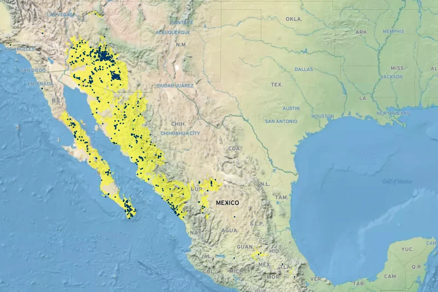 Ambrosia ambrosioides Native Range