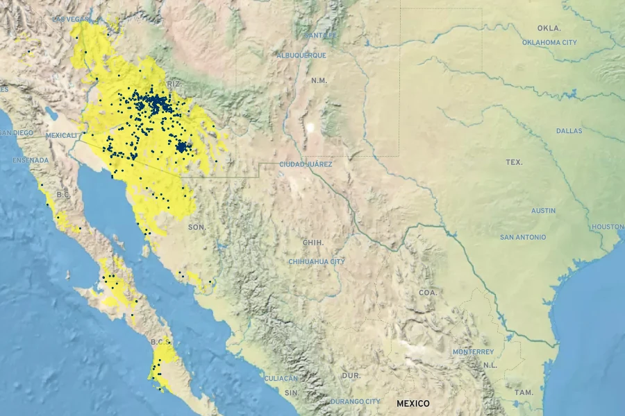 Ambrosia deltoidea Native Range