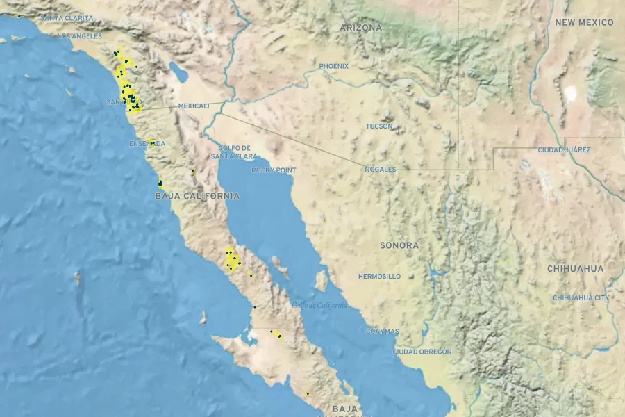 Ambrosia pumila Native Range