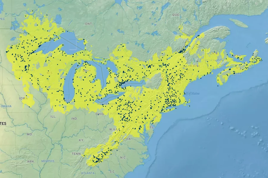 Amelanchier laevis Native Range