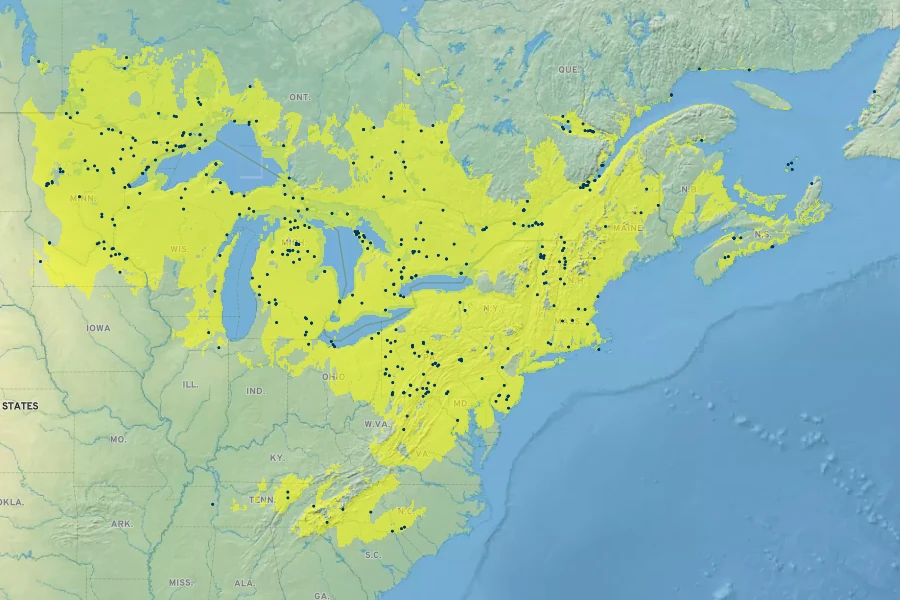 Amelanchier spicata Native Range