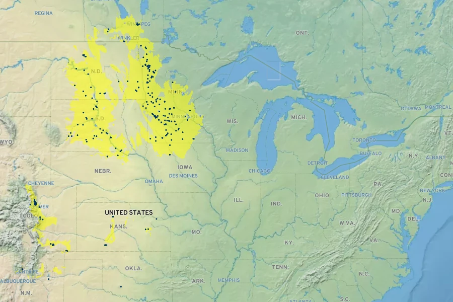 Amorpha nana Native Range